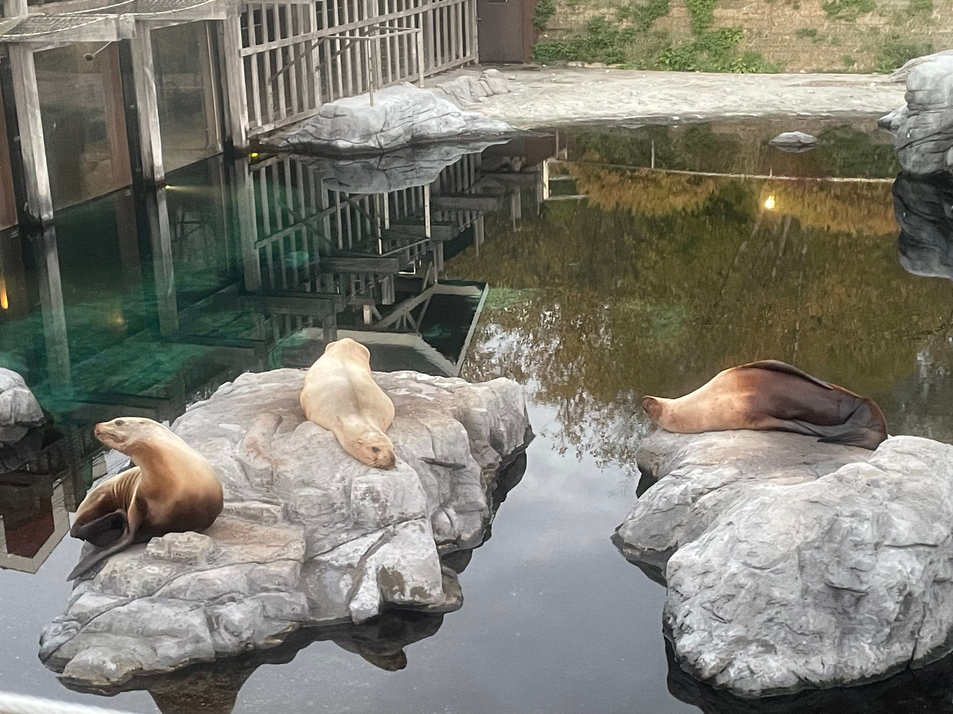 Pairi Daiza Resort-浴室