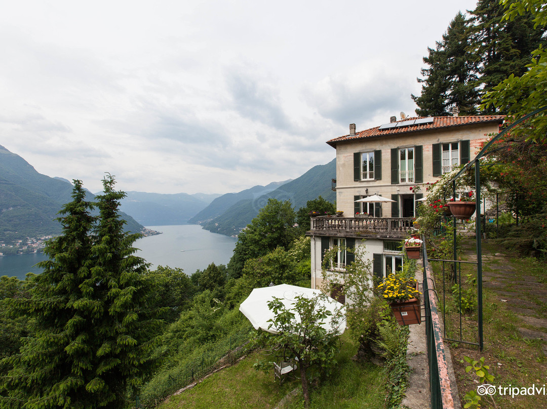 Palanzo酒店住宿-绣球B&B旅馆