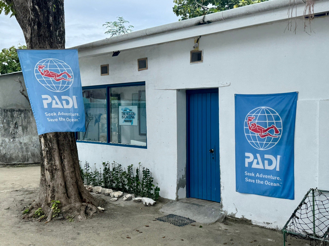 Felidhoo Dive Club-Felidhoo Island必去景点