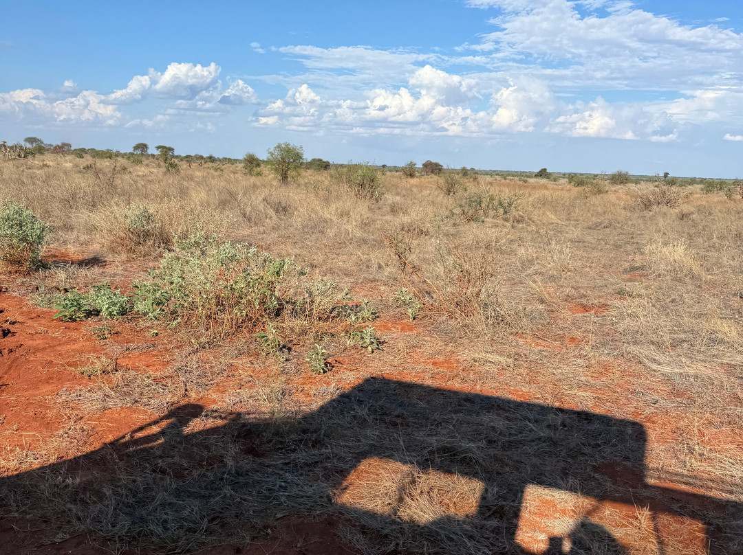 Safari Talk Tours Ltd-蒙巴萨必去景点