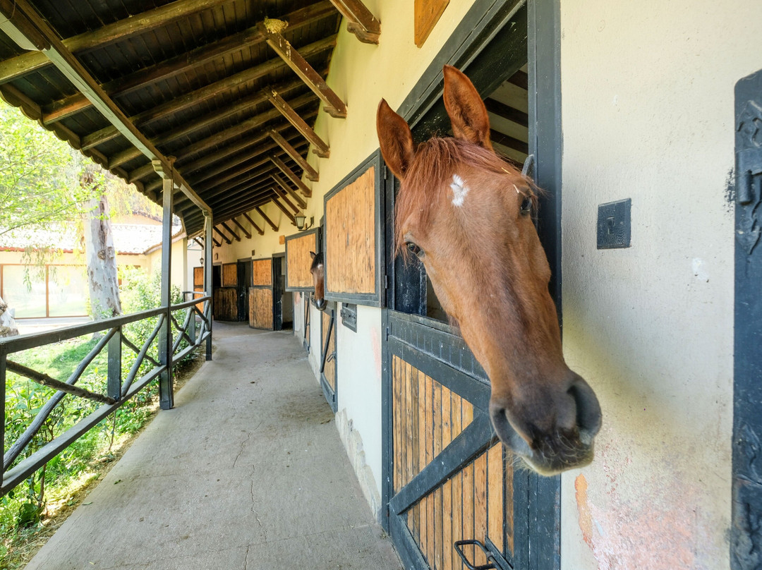 BESO Ranch&Horse Riding