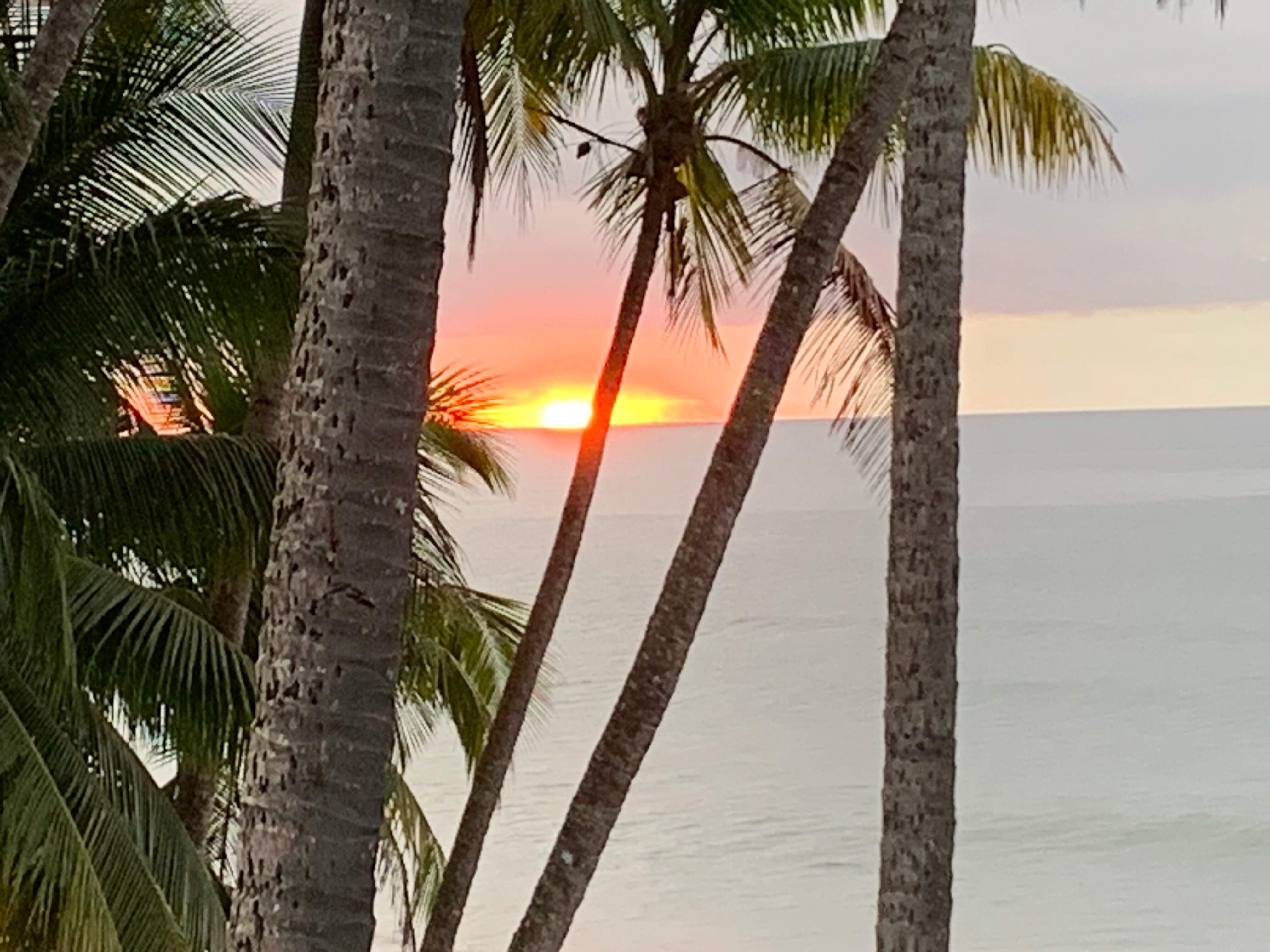 Tango Mar Beachfront Boutique Hotel & Villas-官方