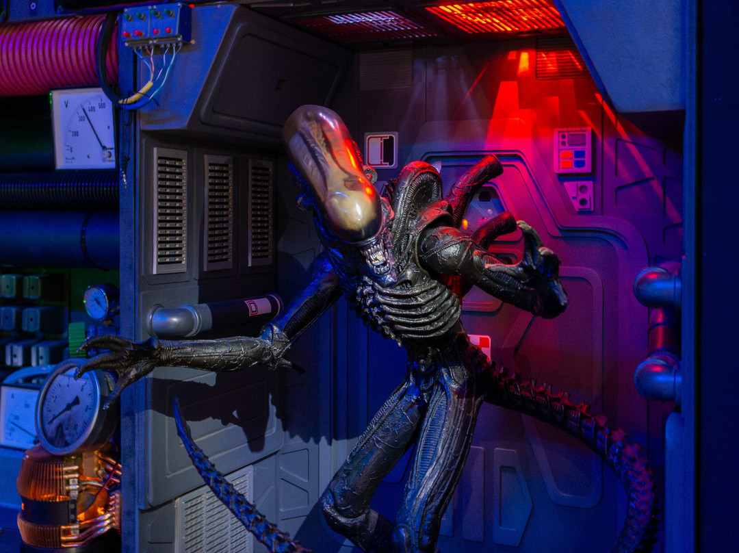 Museo Alien-巴塞罗那必去景点