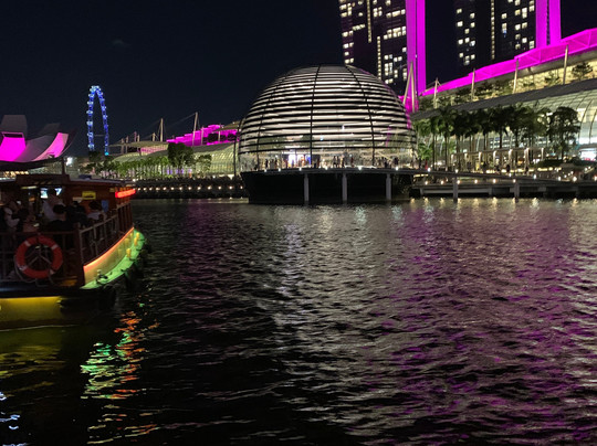 Lion Heartlanders-新加坡必去景点