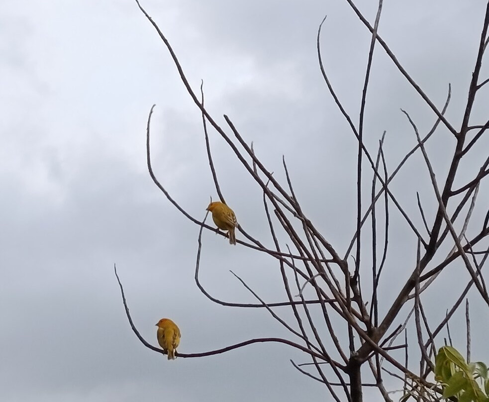 Hosteria Izhcayluma Spa-Vilcabamba必去景点