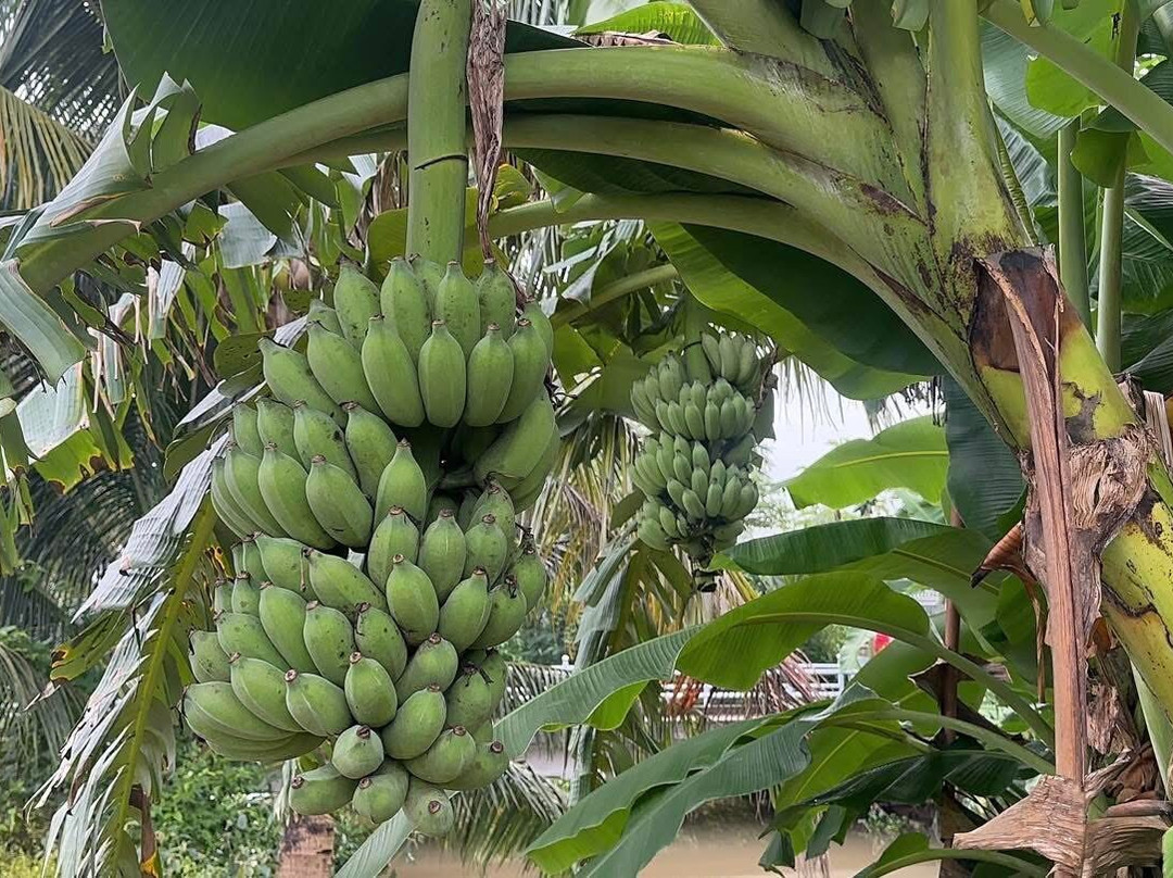 Dong Du Village Lakeside Farm Stay-Nghia Thuan必去景点