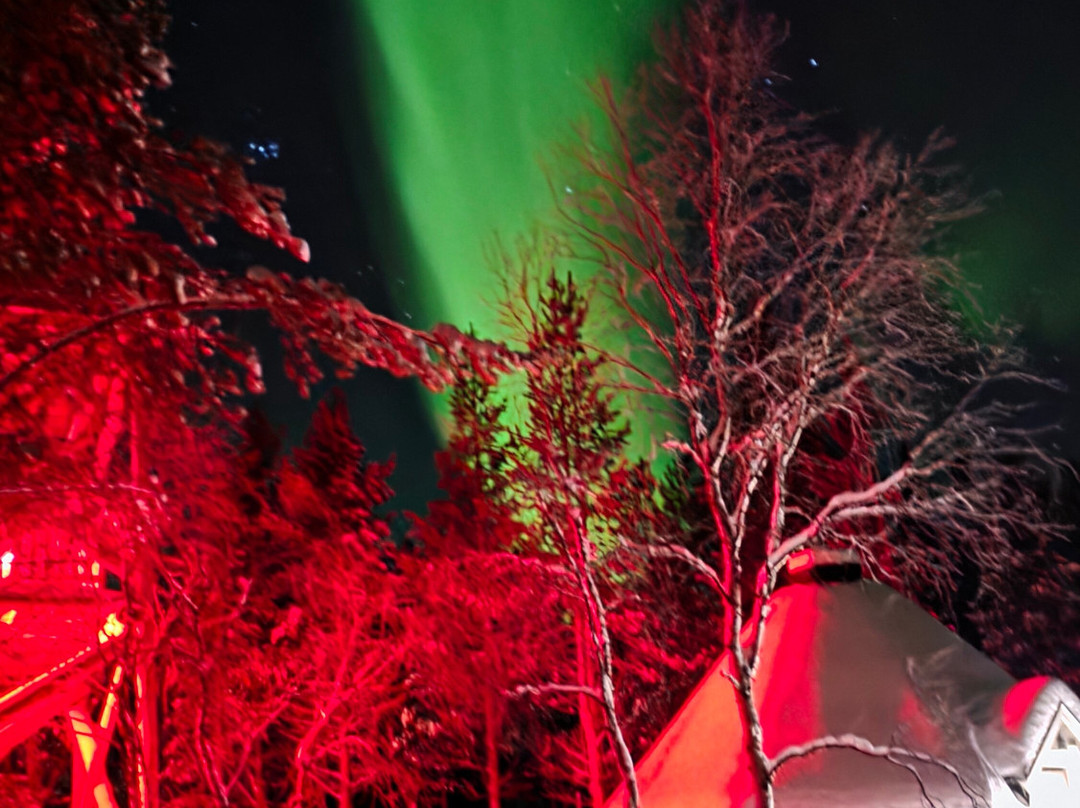 Aurora Service Tours-Utsjoki必去景点