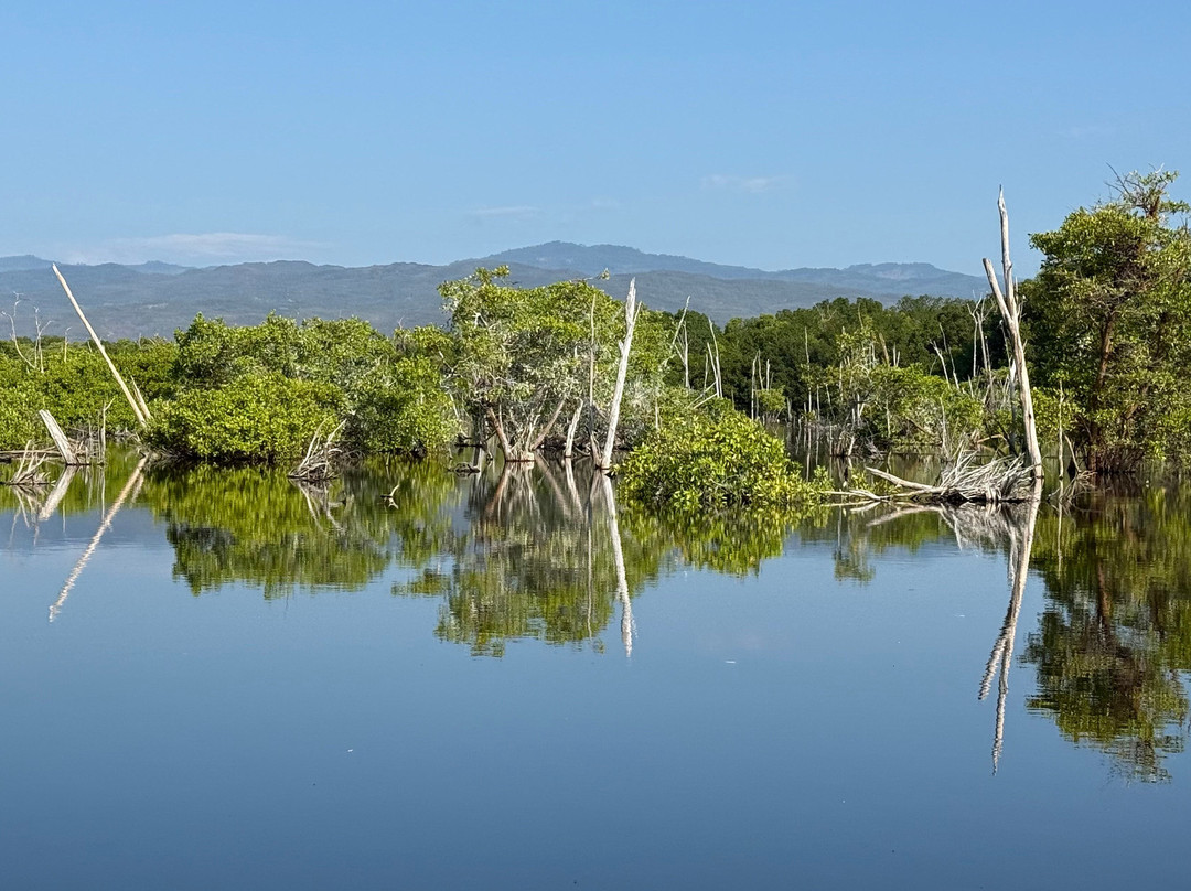 Lalo Ecotours-埃斯孔迪多港必去景点