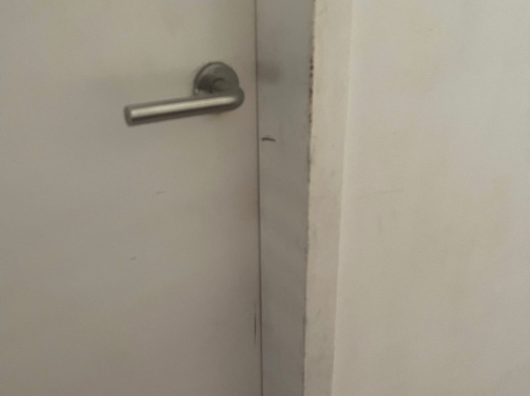 Papagayo Beach Resort主图