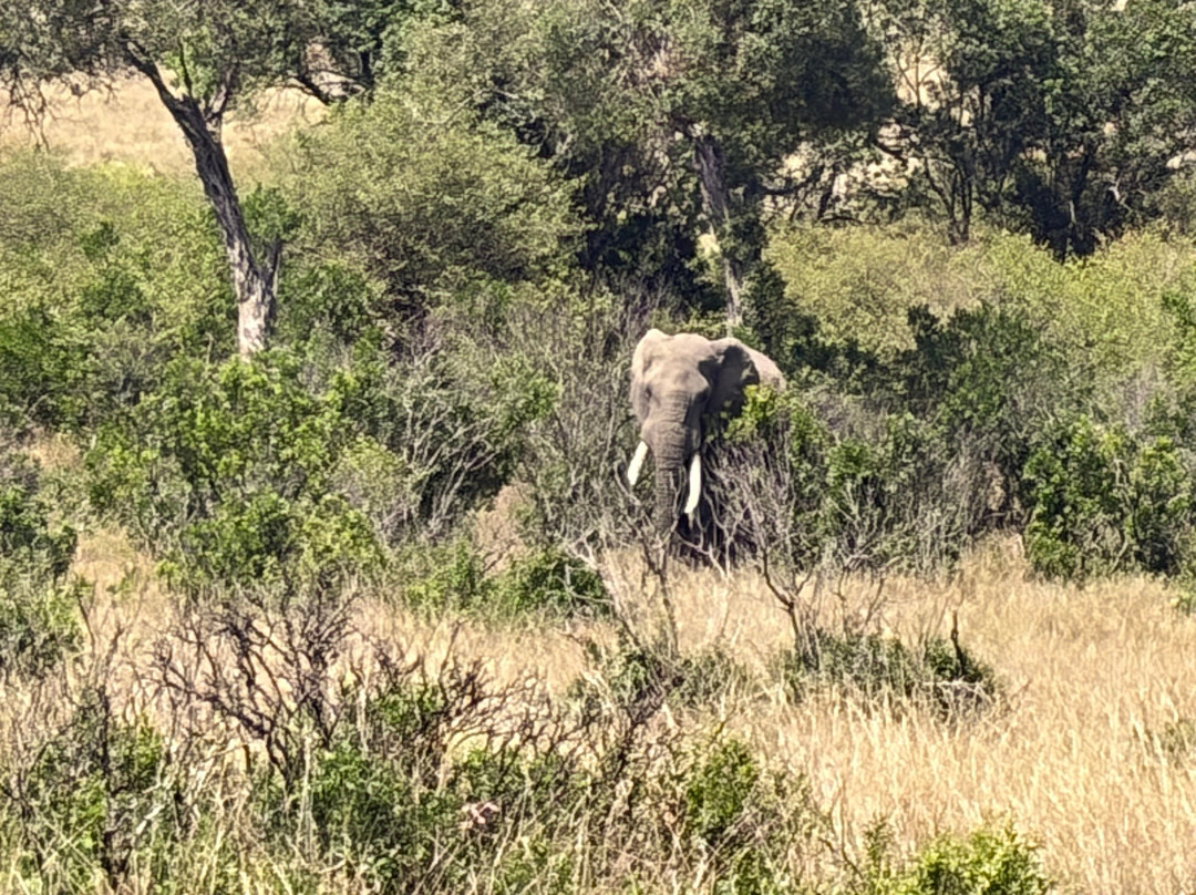 Kampur Travel Diaries-内罗毕必去景点
