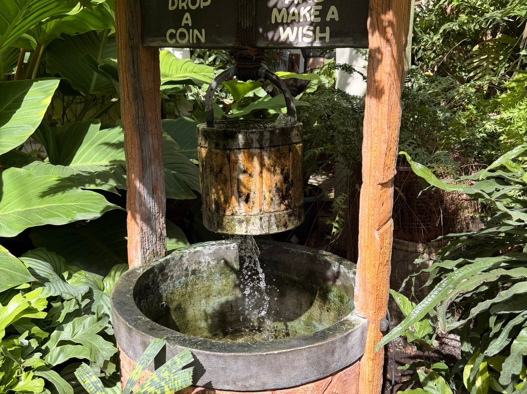 Hidden Garden-维甘必去景点