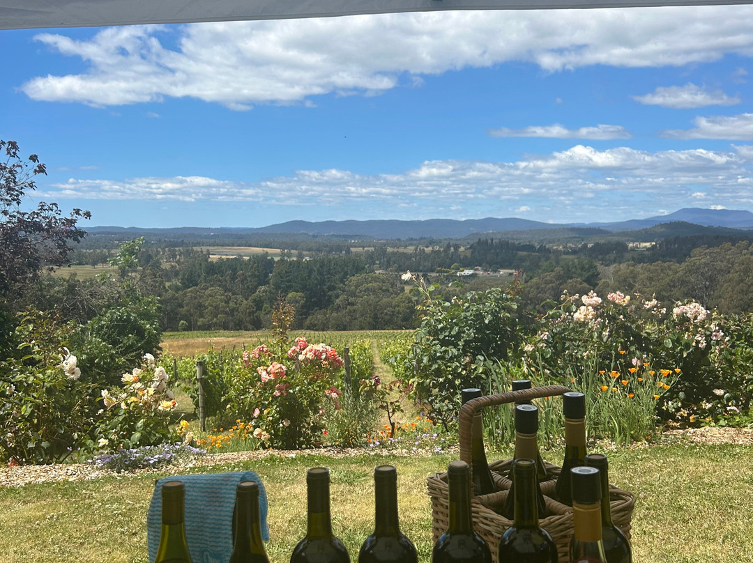 Grey Sands Vineyard-Glengarry必去景点