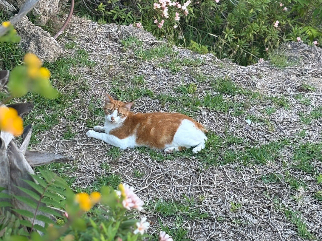 Casa de los Navajas-托雷莫里诺斯必去景点
