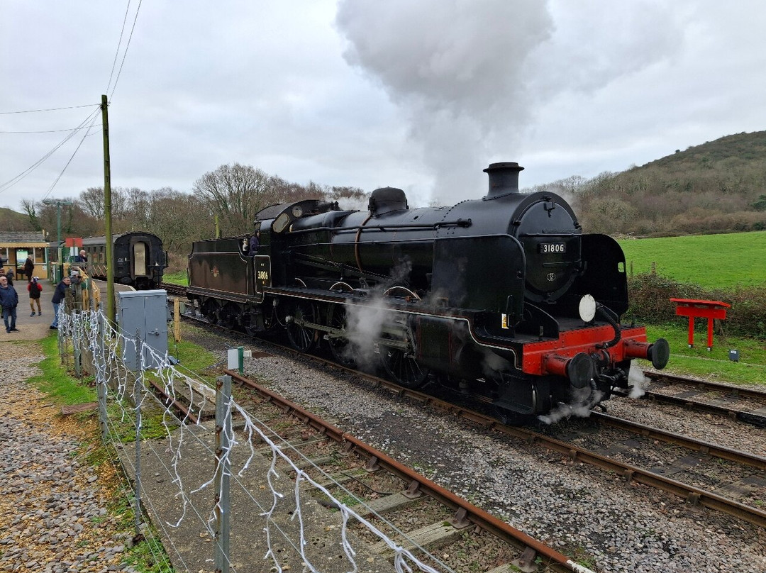 Swanage Railway-斯沃尼奇必去景点