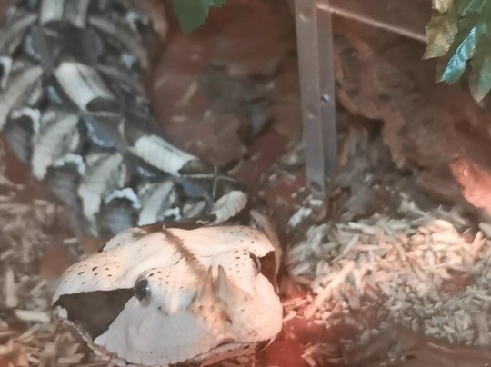 Reptiland-里瓦德尔加尔达必去景点