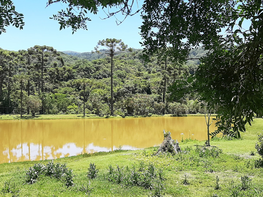 Parque Estadual da Serra do Mar-Cunha必去景点
