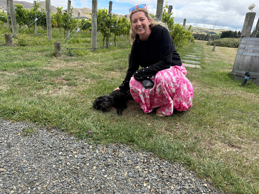 Georges Road Wines-Waipara必去景点