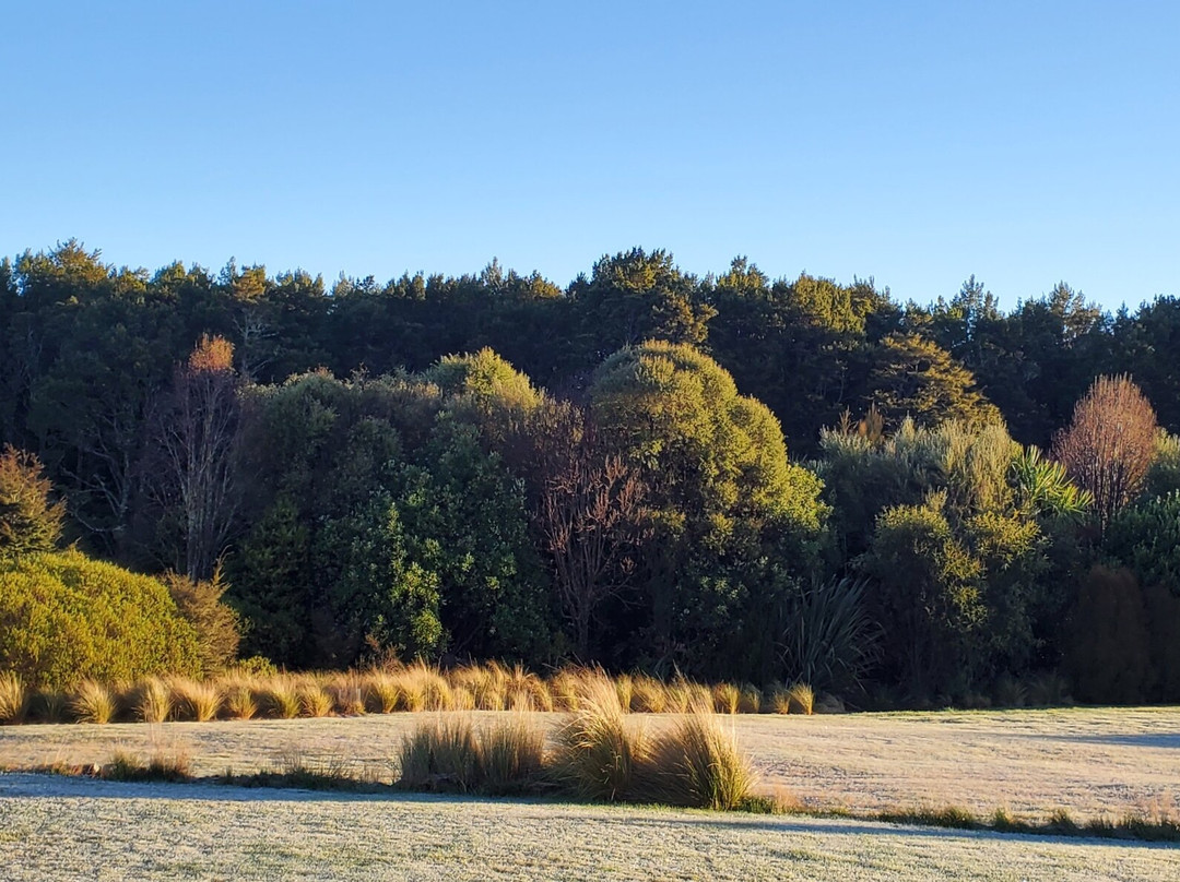 Nelson Lakes Homestay主图