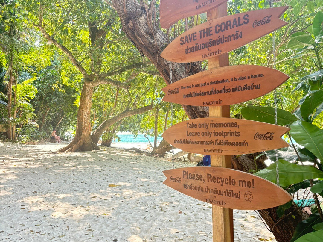 Monkey Dive Thailand-拉克山必去景点