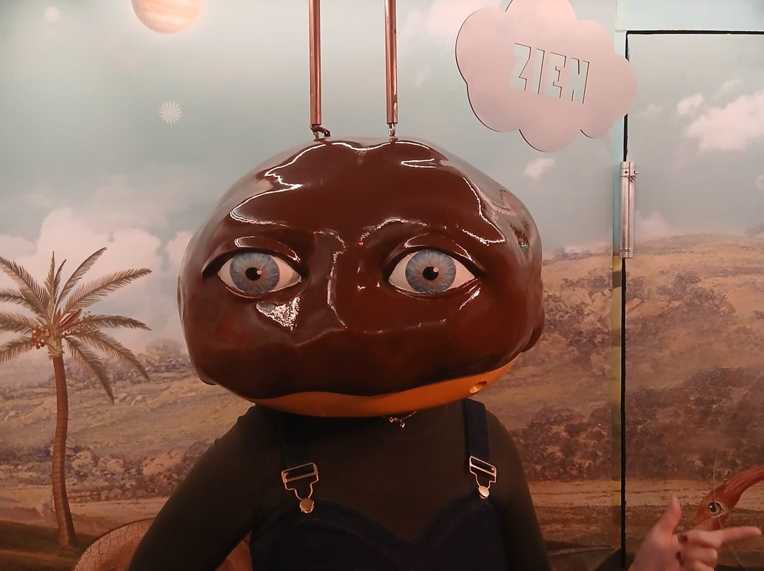 Bossche Bollen Belevenis-斯海尔托亨博斯必去景点