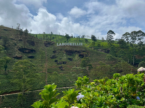 FIN Lanka Tours - Sri Lanka-加勒必去景点