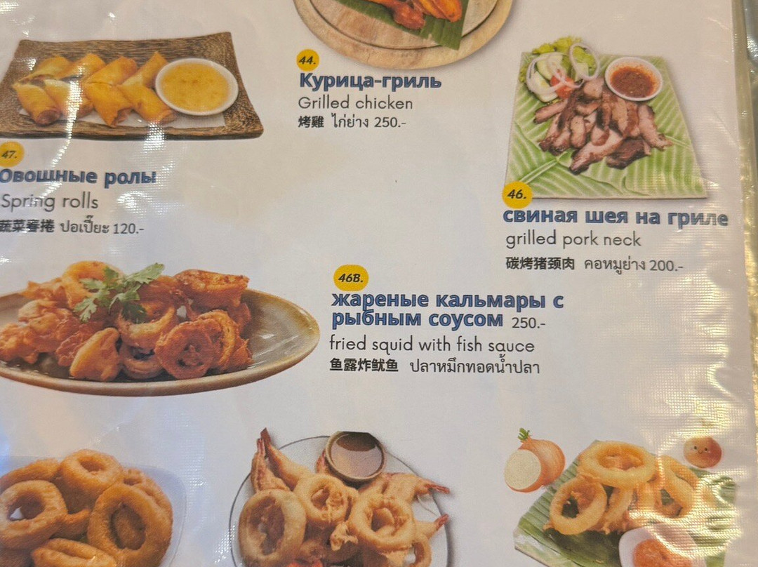 Elephant House Cafe主图