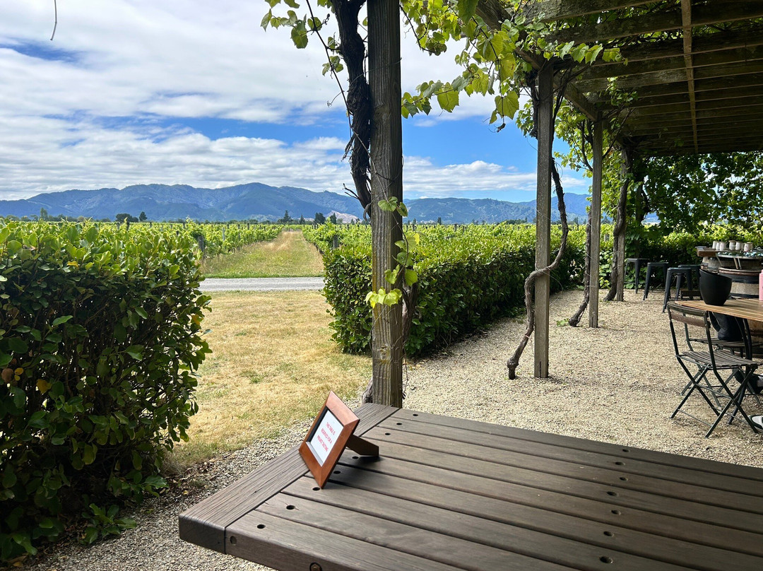 FROMM Winery-布伦海姆必去景点