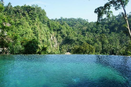 皇家皮塔马哈酒店主图