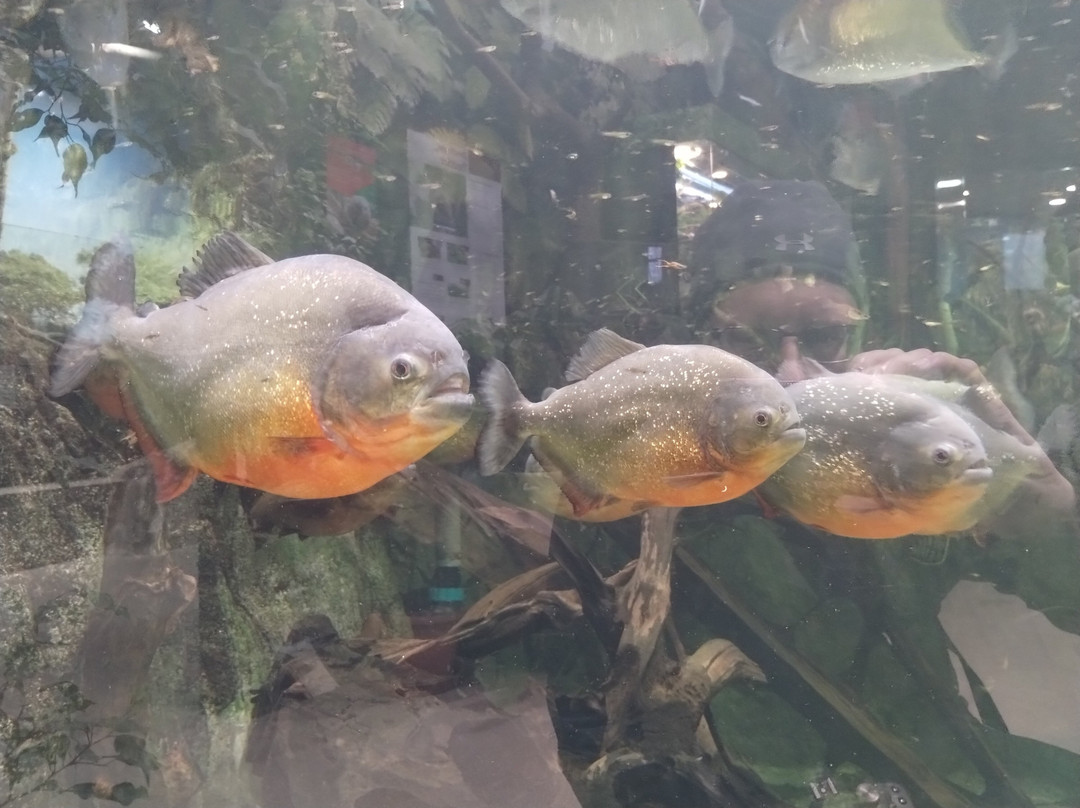 Zoo Salzburg-安妮夫必去景点