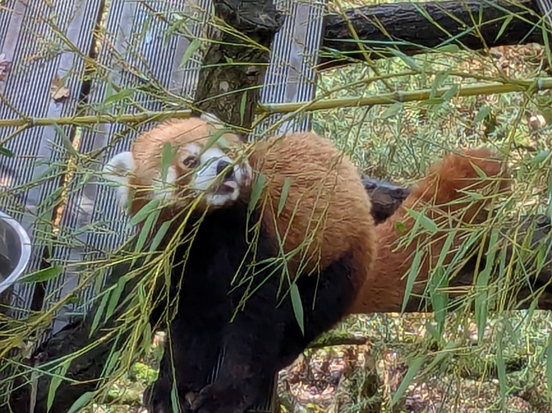 Les Terres De Nataé-Pont-Scorff必去景点