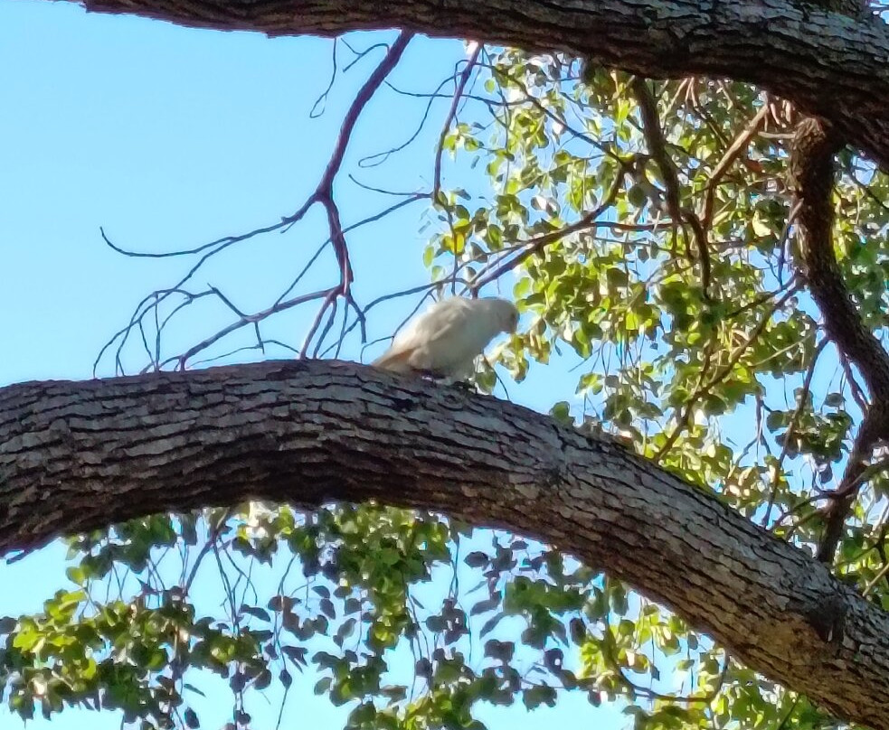 Nelson Bay-尼尔森湾必去景点