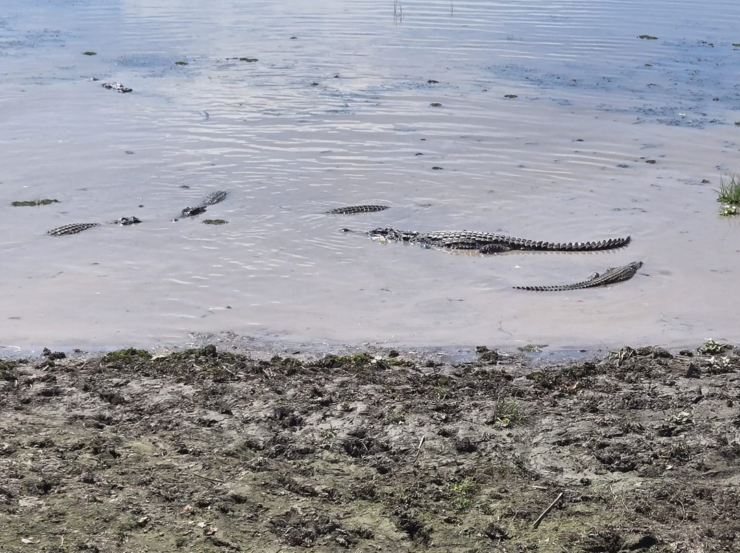 Cat Tien Park-Nam Cat Tien必去景点