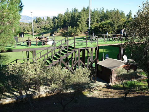 Chaparral Golf Club-米哈斯必去景点