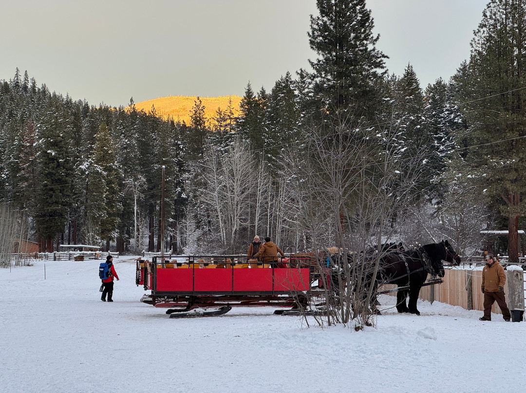 Leavenworth Sleigh Rides-莱文沃思必去景点