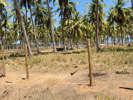 Heraldo Jr. Turismo e Receptivo-Maceio必去景点