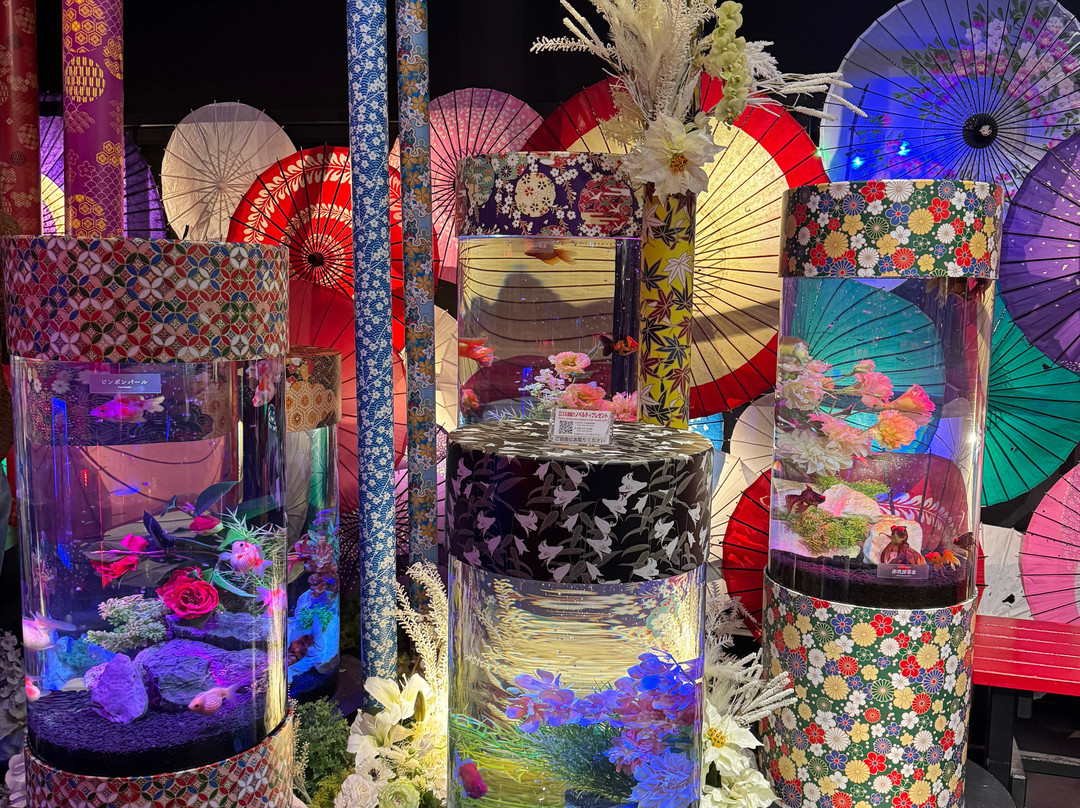 Uws Aquarium Ga Kyo-Daiba必去景点