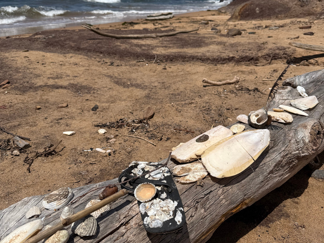 Long Reef Point-Collaroy Beach必去景点