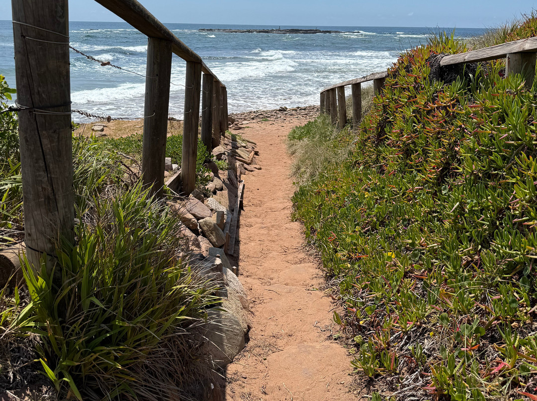 Long Reef Point-Collaroy Beach必去景点