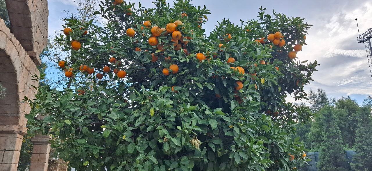 布莱克航程高尔夫温泉酒店-浴室