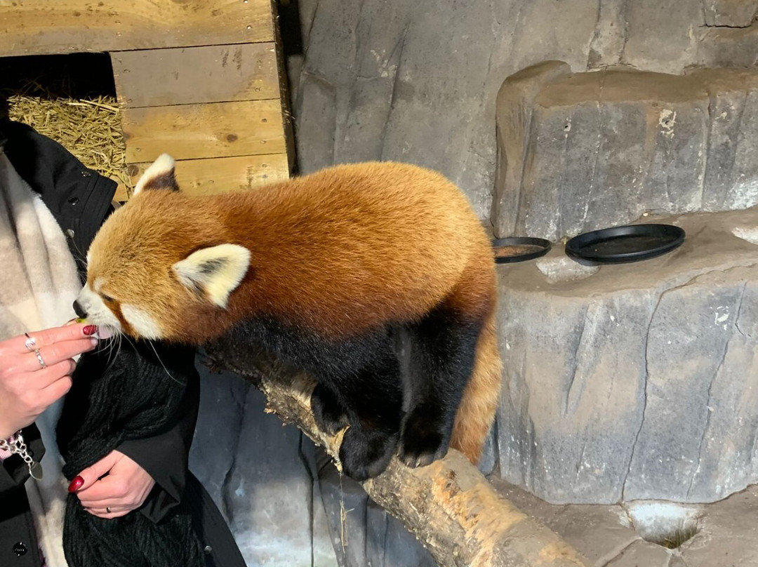 Five Sisters Zoo-West Calder必去景点