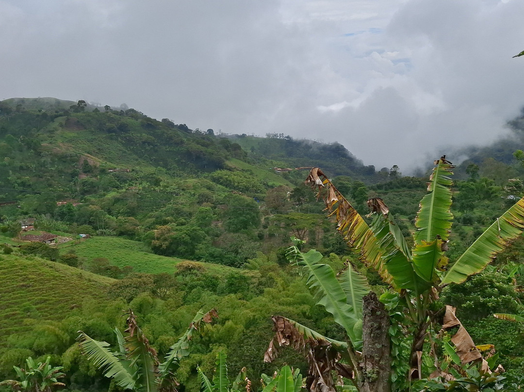 Ecoturismo La Nohelia-Jerico必去景点