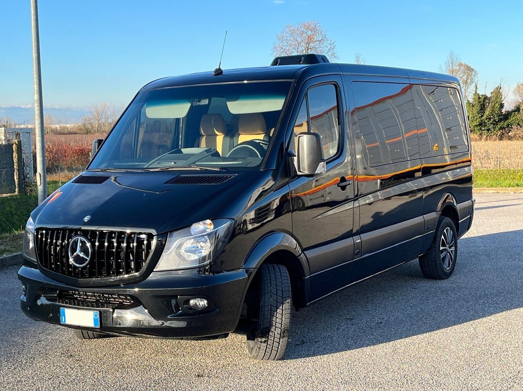 Venicegroupservices srl