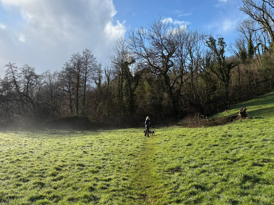 St Tudy to Wetherham circular walk-Saint Tudy必去景点