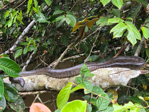 Takiri Travel-基多必去景点