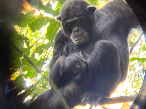 Safari Vacations & Travel Services-恩德培必去景点