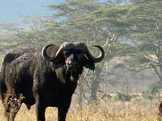 Tanzania Adventure Tours-阿鲁沙必去景点