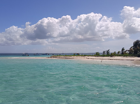 Coco Mambo-Sainte Rose必去景点