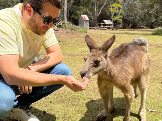 Tasmanian Devil Unzoo-塔拉纳必去景点