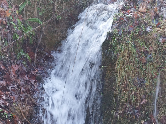 Xenonas Evrostini主图