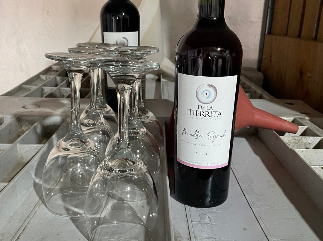 Bodega Familiar Agroecológica De La Tierrita-Eugenio Bustos必去景点